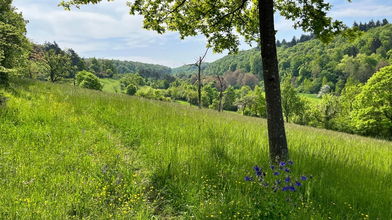 22-05-08 10-57-16 0758.jpeg